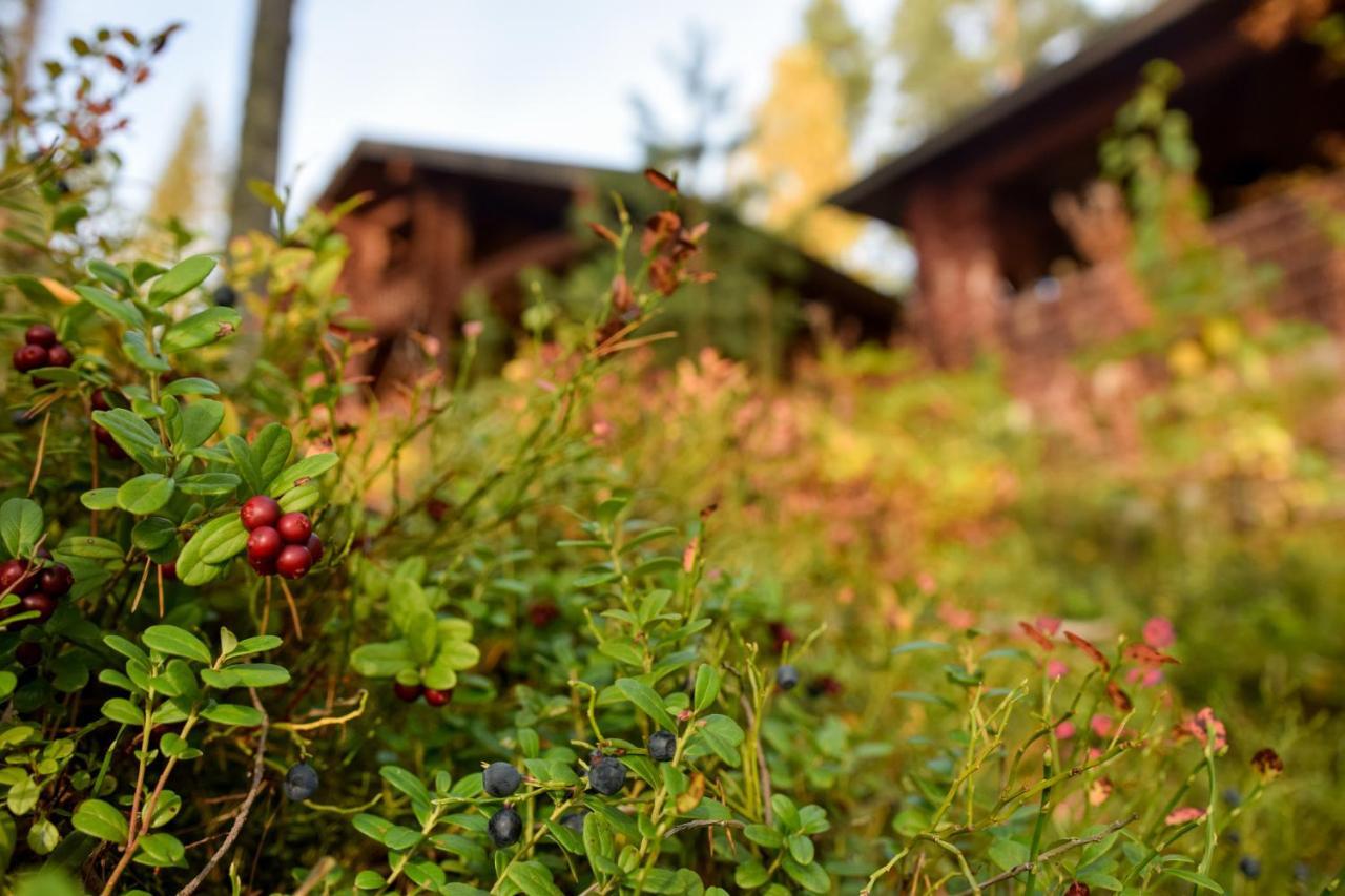 Lomalehto Cottages Ahvionniemi Zewnętrze zdjęcie